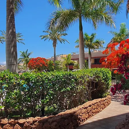 Апартаменты Sea&sun Paradise, Heated Pool, 2br, Parking Плайя-Параисо
