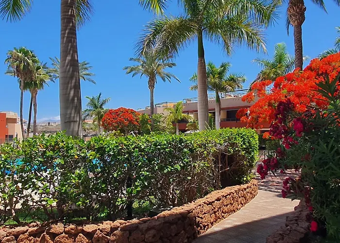 Apartamento Sea&sun Paradise, Heated Pool, 2br, Parking Playa Paraíso